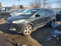 Vehiculos salvage en venta de Copart New Britain, CT: 2014 Ford Escape SE