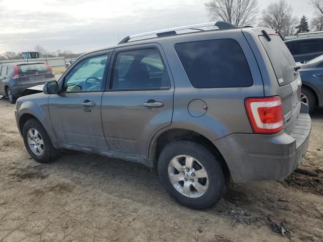 2011 Ford Escape Limited