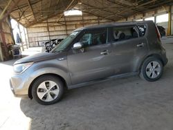 Salvage cars for sale at Phoenix, AZ auction: 2014 KIA Soul