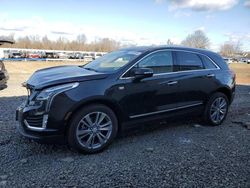 Salvage cars for sale at Hillsborough, NJ auction: 2023 Cadillac XT5 Premium Luxury