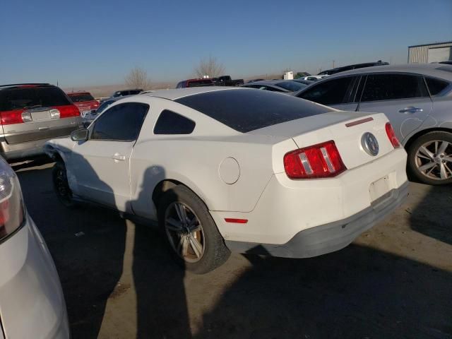 2010 Ford Mustang