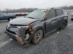 Toyota salvage cars for sale: 2016 Toyota Rav4 LE