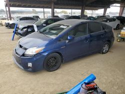 Salvage cars for sale at American Canyon, CA auction: 2011 Toyota Prius