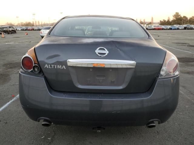 2010 Nissan Altima Base