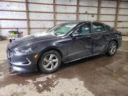 Hyundai salvage cars for sale: 2021 Hyundai Sonata SE