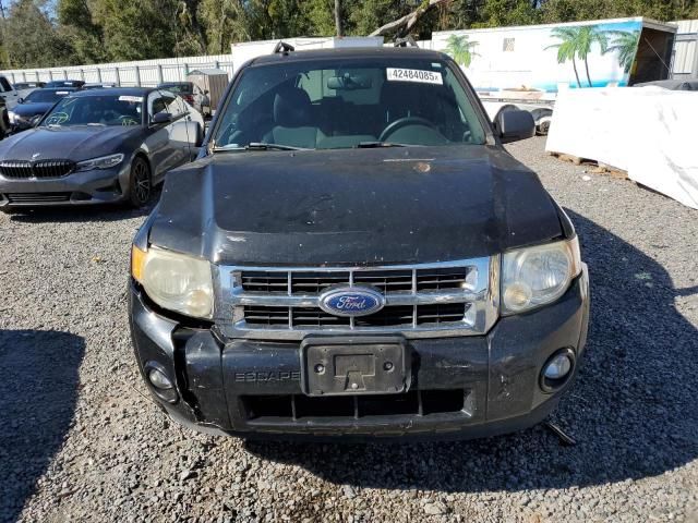 2011 Ford Escape XLT