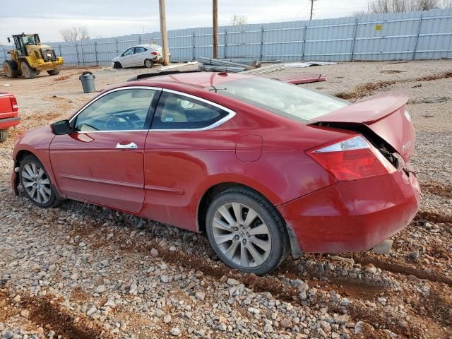 2009 Honda Accord EXL