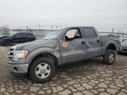 Ford salvage cars for sale: 2013 Ford F150 Supercrew