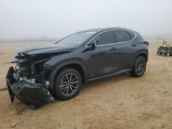 Salvage cars for sale at San Antonio, TX auction: 2024 Lexus NX 350H Base