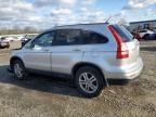 2011 Honda CR-V EXL