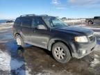 2008 Mazda Tribute S