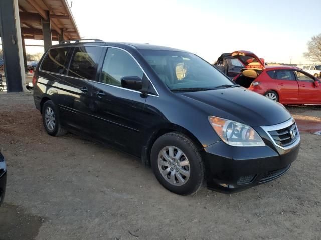 2009 Honda Odyssey EXL