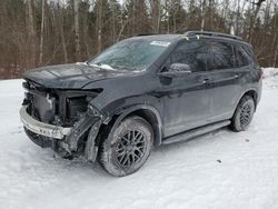 Salvage cars for sale at Cookstown, ON auction: 2024 Honda Passport Black Edition