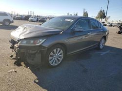 Salvage cars for sale from Copart Rancho Cucamonga, CA: 2013 Honda Accord EXL