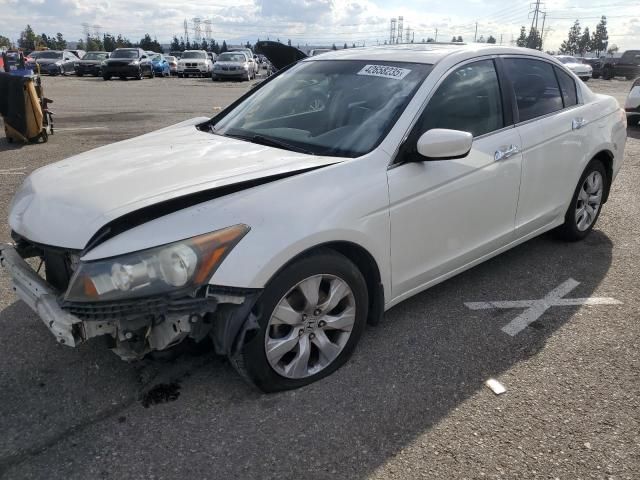 2008 Honda Accord EXL