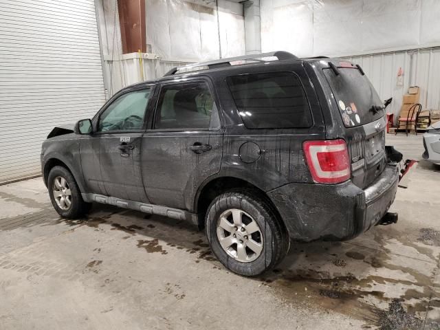 2010 Ford Escape Limited