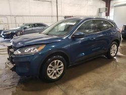 Ford Escape se salvage cars for sale: 2020 Ford Escape SE