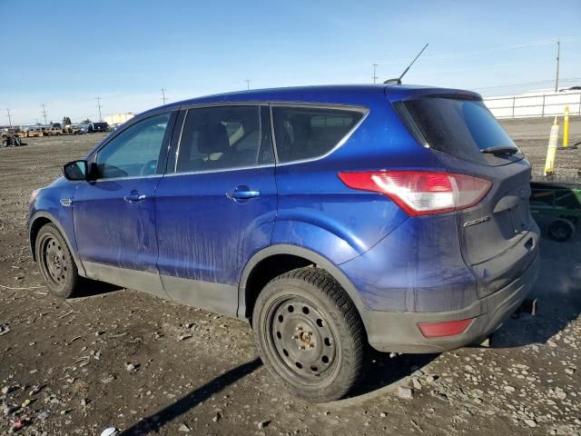 2013 Ford Escape SE