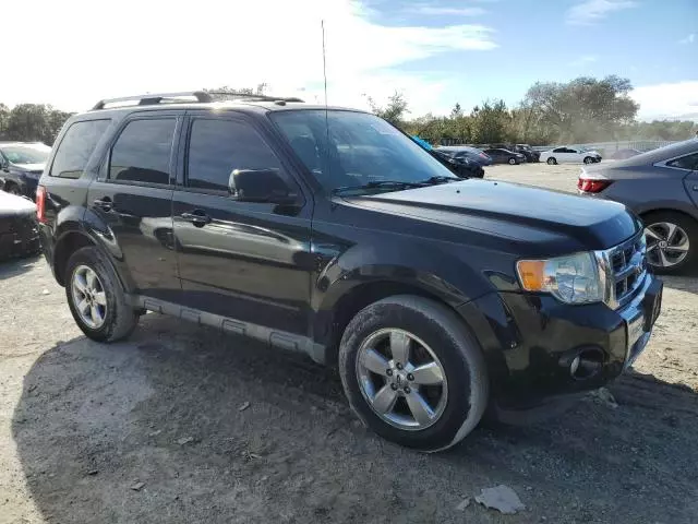 2011 Ford Escape Limited