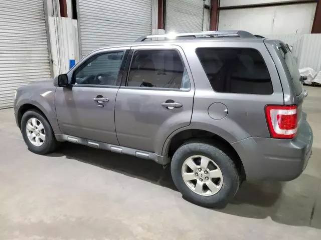 2010 Ford Escape Limited