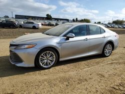 Salvage cars for sale at American Canyon, CA auction: 2020 Toyota Camry XLE