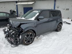 Salvage cars for sale at auction: 2023 KIA Soul EX