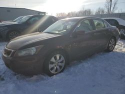 Salvage cars for sale at Wayland, MI auction: 2008 Honda Accord EXL