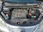 2009 Honda Odyssey EXL