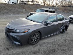 Salvage cars for sale at Marlboro, NY auction: 2021 Toyota Camry SE