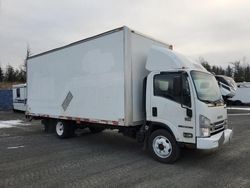 Salvage trucks for sale at Moncton, NB auction: 2018 Isuzu NPR HD