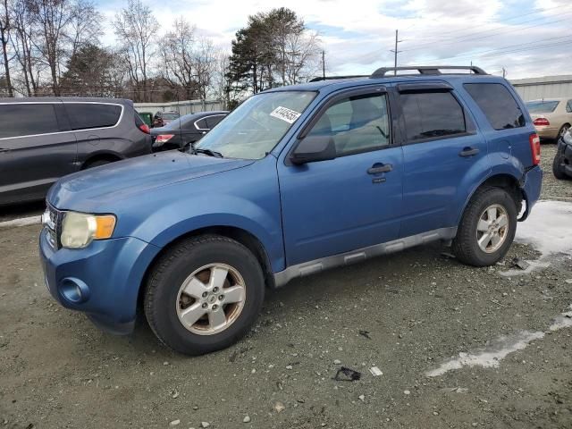 2010 Ford Escape XLT