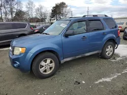 2010 Ford Escape XLT en venta en Mebane, NC