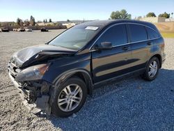 Salvage cars for sale at Mentone, CA auction: 2010 Honda CR-V EX