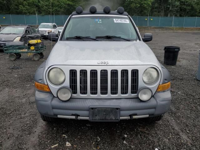 2006 Jeep Liberty Renegade