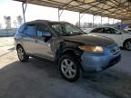 2007 Hyundai Santa FE SE