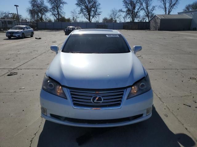 2010 Lexus ES 350