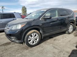 Salvage cars for sale at North Las Vegas, NV auction: 2013 Honda CR-V EX