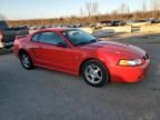 2004 Ford Mustang