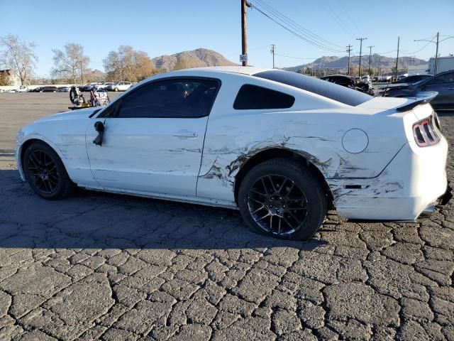 2013 Ford Mustang