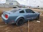 2005 Ford Mustang