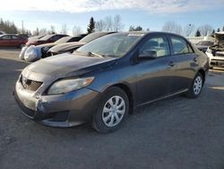 Salvage cars for sale at Bowmanville, ON auction: 2009 Toyota Corolla Base