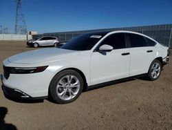 Salvage cars for sale at Adelanto, CA auction: 2023 Honda Accord LX