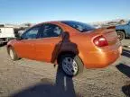 2005 Dodge Neon SXT