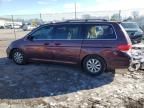 2010 Honda Odyssey EX