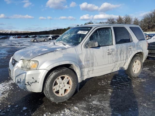 2007 Ford Escape Limited