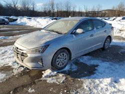 2019 Hyundai Elantra SE en venta en Marlboro, NY