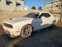 Salvage cars for sale at Albuquerque, NM auction: 2019 Dodge Challenger R/T