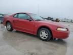 2000 Ford Mustang