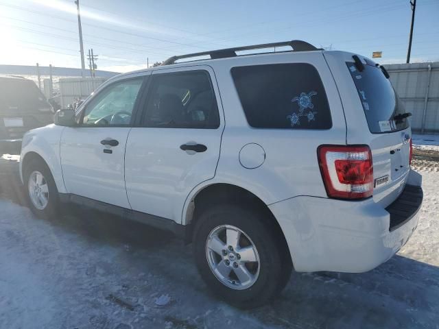 2012 Ford Escape XLT