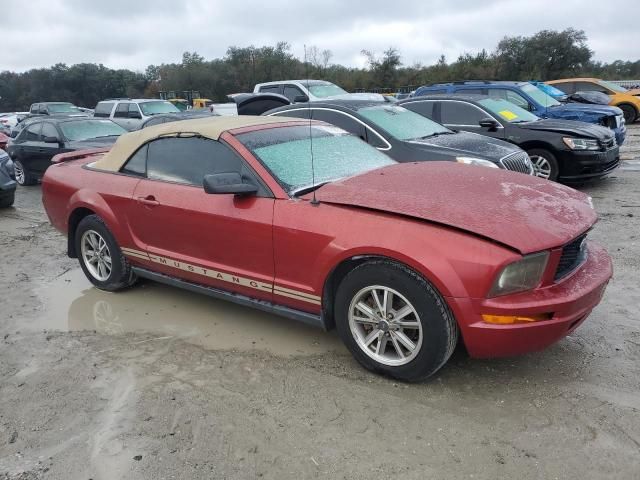 2005 Ford Mustang